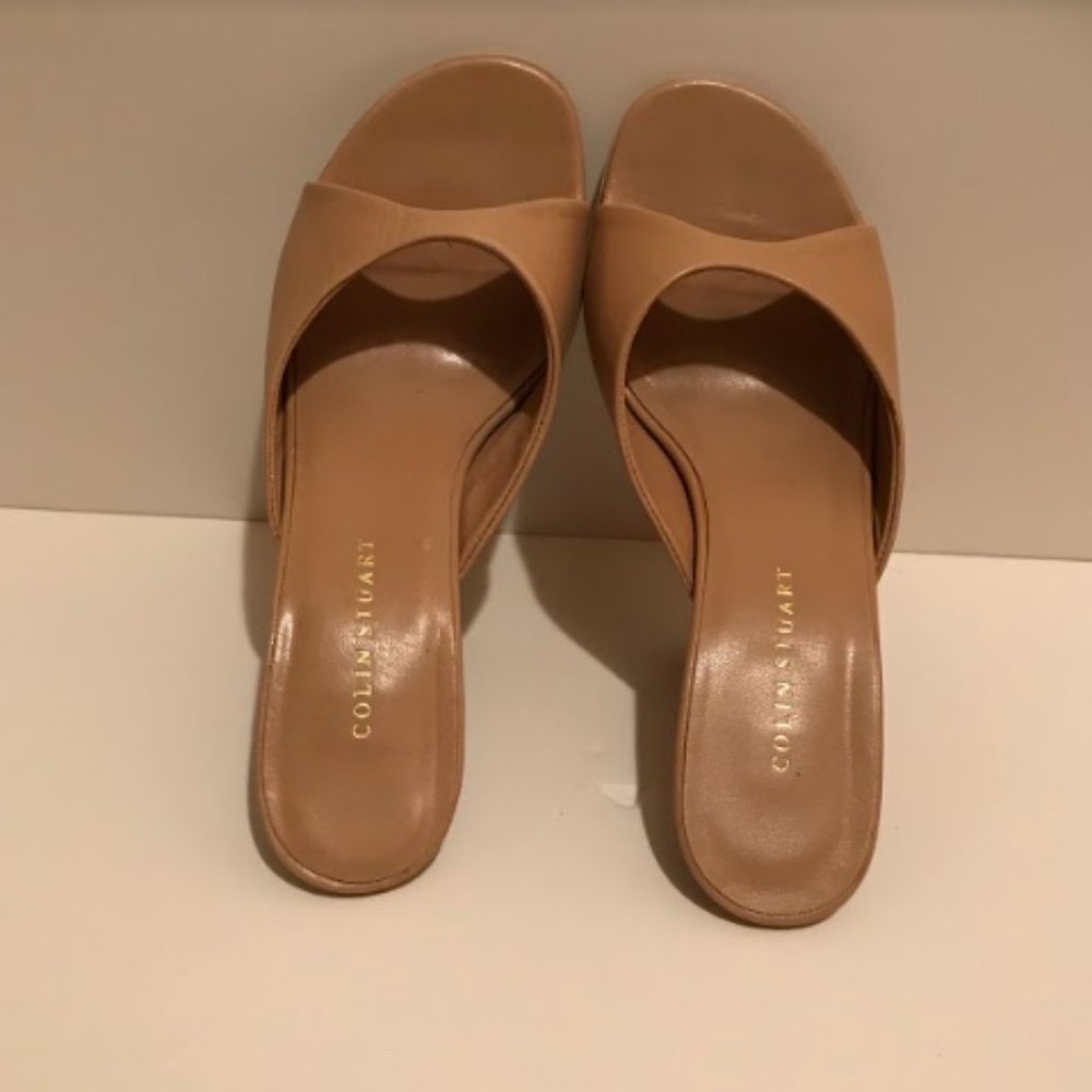 Colin Stuart slide 6